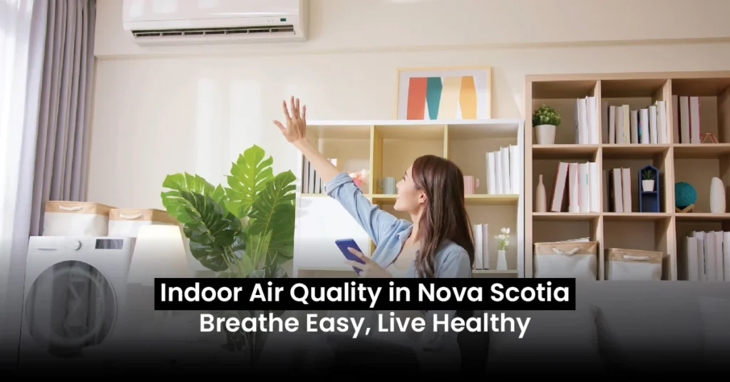 indoor air quality services