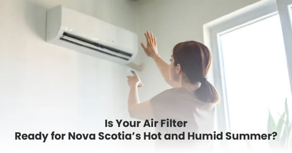 air filter service for the Nova Scotia's summer